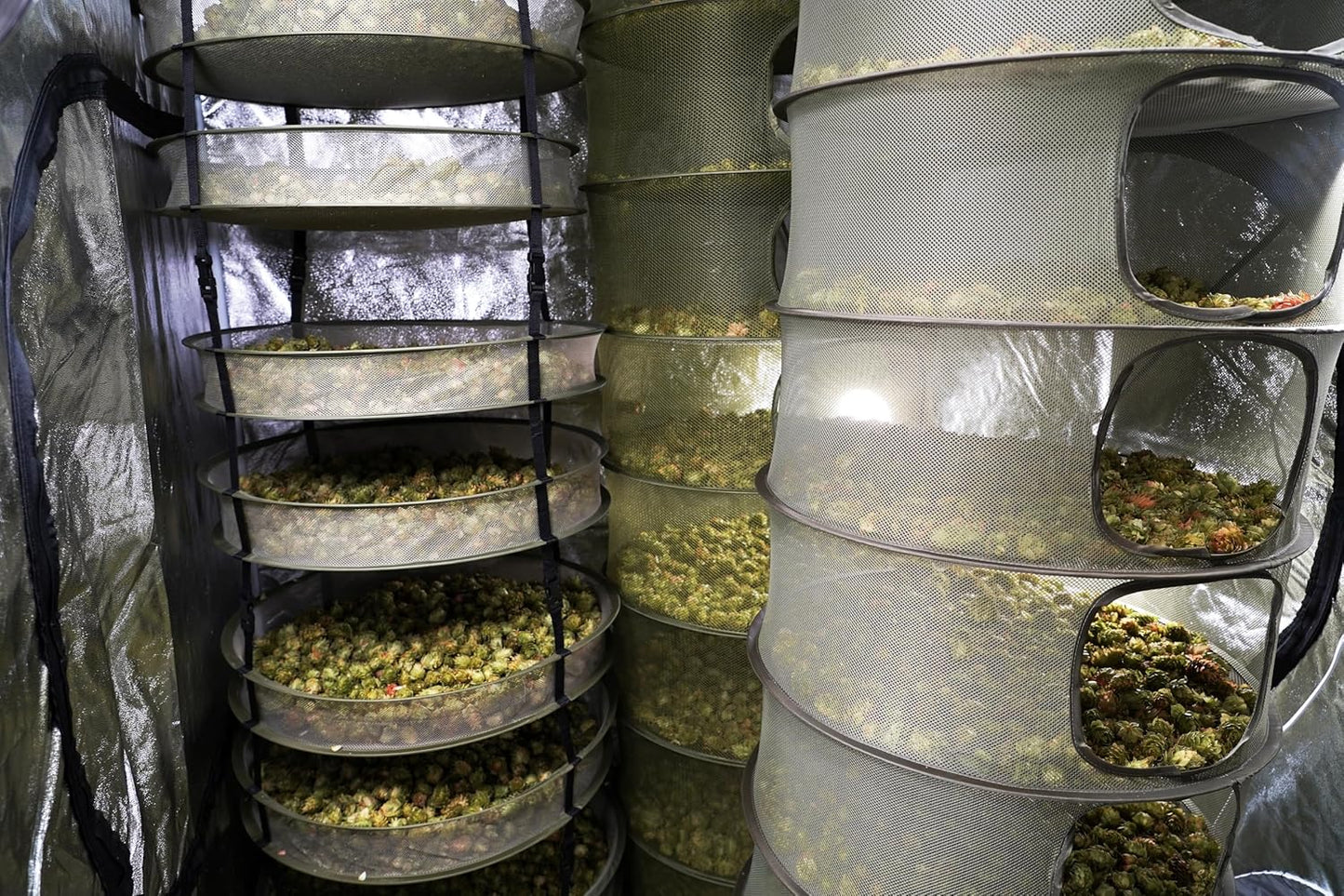 Grow1 3ft Drying Rack with Zipper Openings Collapsible Mesh Herb and Flower Hanging Dryer with Carrying Case for Secure Enclosed Drying