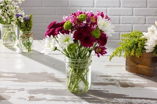 Ball Jar with Lid and Band - Pick Your Size and Color (Clear, Wide Mouth Pint - 16 oz.) Pack Of 2