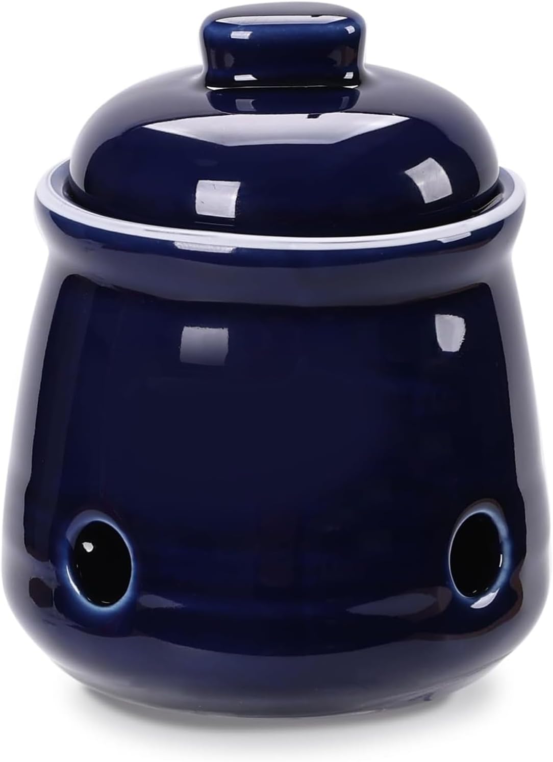 HAOTOP Ceramic Mini Garlic Keeper with Lid, Garlic Container Saver for Countertop, Keep Your Garlic Cloves Fresh (Navy)