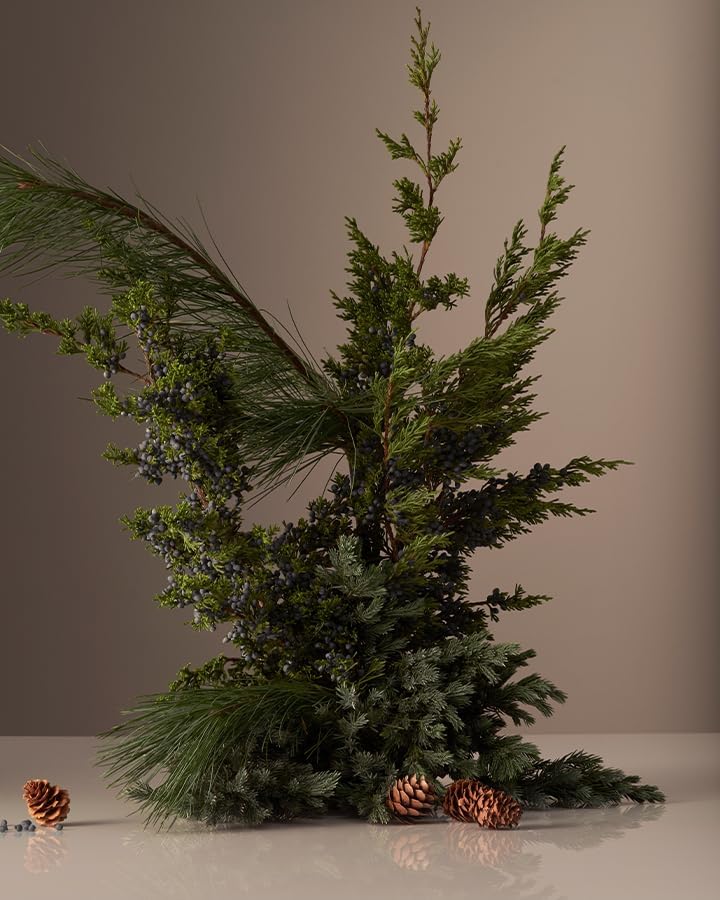 Homecourt Balsam Fireplace Dish Soap, Dishwashing Liquid with Clean Ingredients, Non-Toxic Dish Soap Liquid, Safe for People and Pets - 16 oz