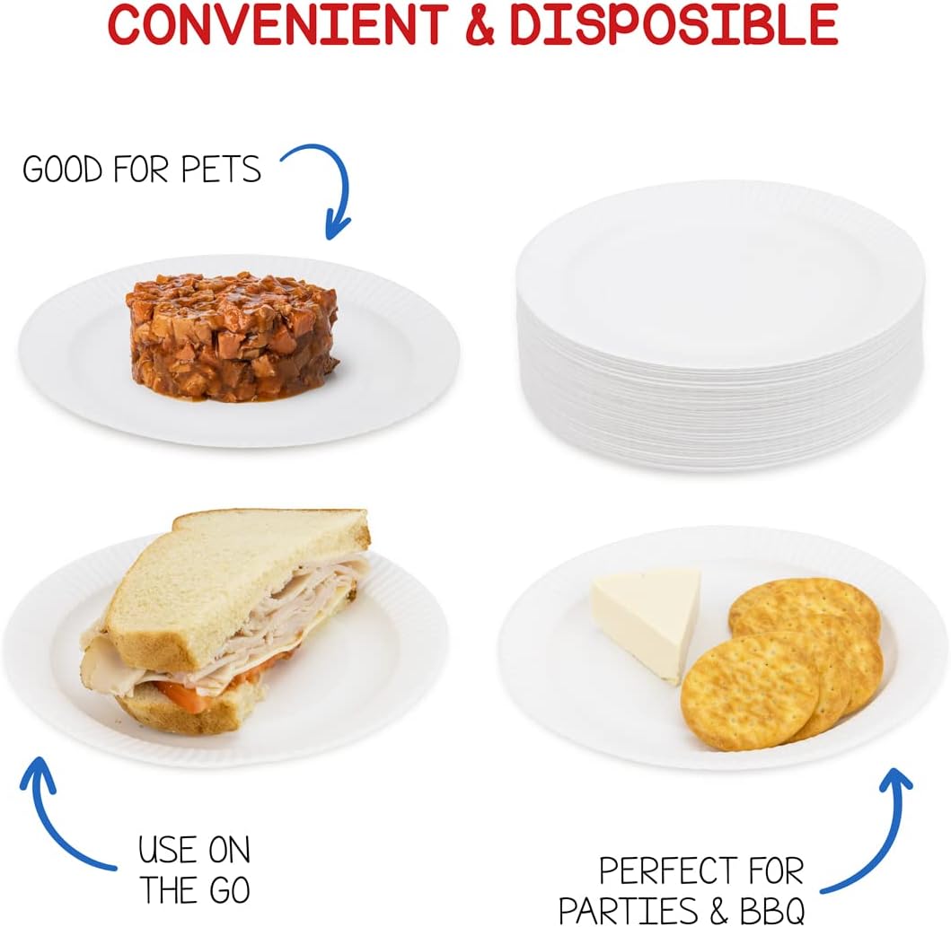 Hygloss Products Paper Plates - ‎Uncoated White Plate - Use for Foodware, Events, Activities, Crafts Projects and More - Environmentally Friendly - Recyclable and Disposable - 6-Inches - 300 Pack