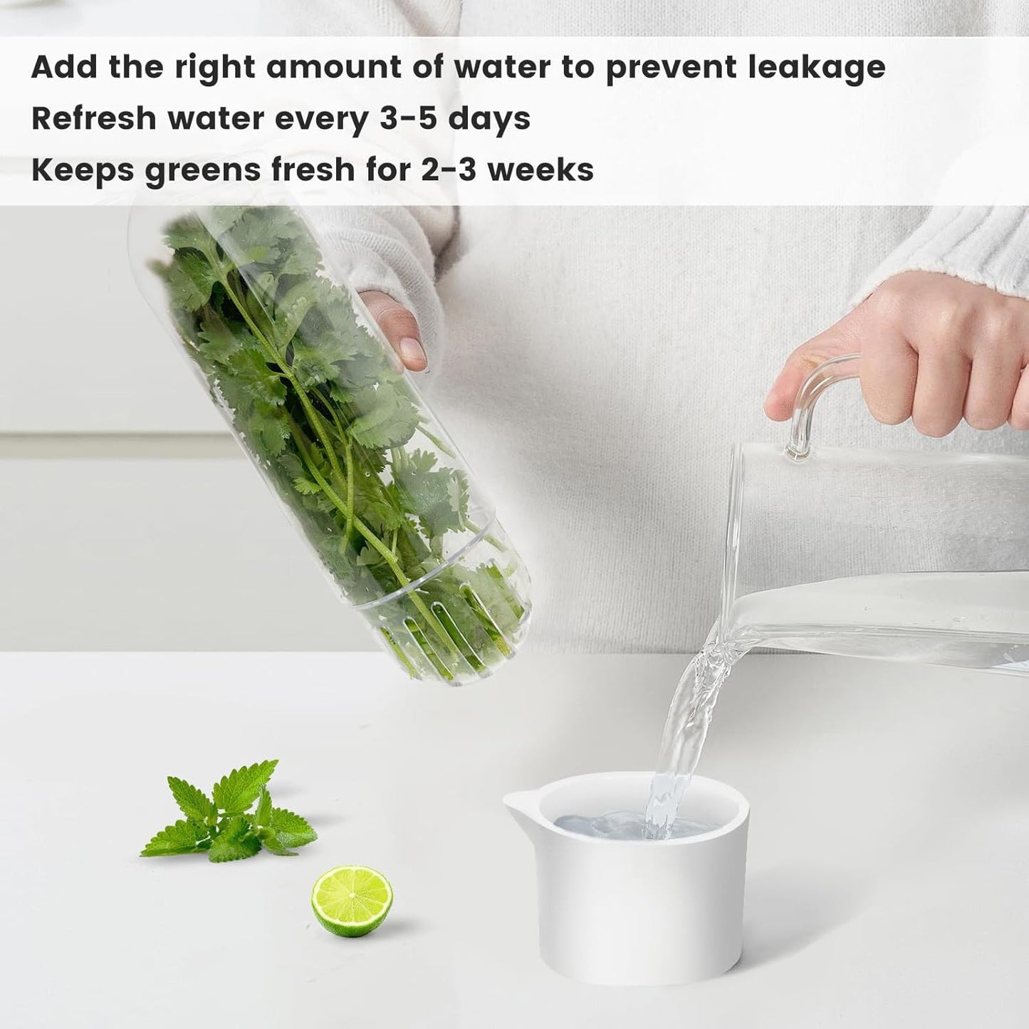 Herb Keeper for Refrigerator, Herb Saver for Refrigerator, Cilantro Container, Vegetable Preservation Bottle for Cilantro, Mint, Parsley, Asparagus, Keeps Greens Fresh for 2-3 Weeks (2PCS)