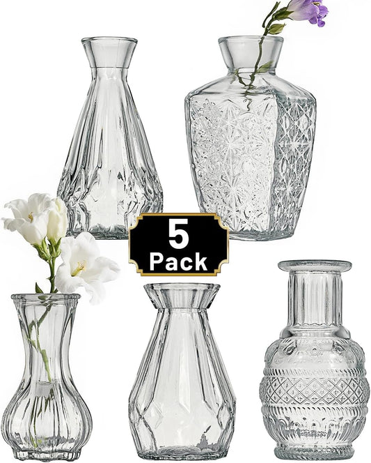 Glass Bud Vase Set of 5 Pcs Small Minimalist Vases for Flowers, Vintage Rustic Home Decor for Table Centerpiece Wedding Party, Modern Clear Aromatherapy Bottle for Living Room Bedroom
