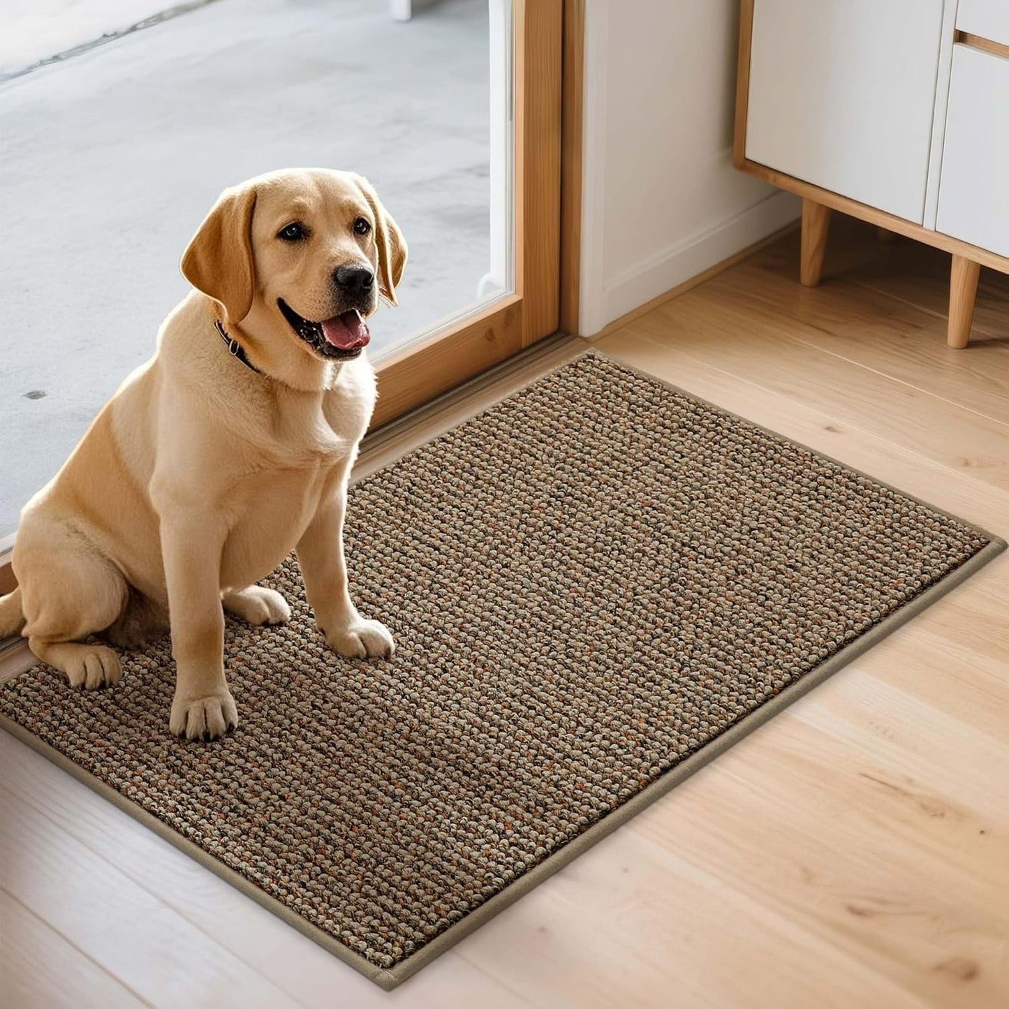 JSEI Dirt Trapper Door Mat 20"x32" Non-Slip Washable Entrance Mat, Dog Doormats, Absorbent & Fade-Resistant Floor Mats, Low Profile Welcome Mats for Entryway, Front Door, and Inside Entrance, Beige