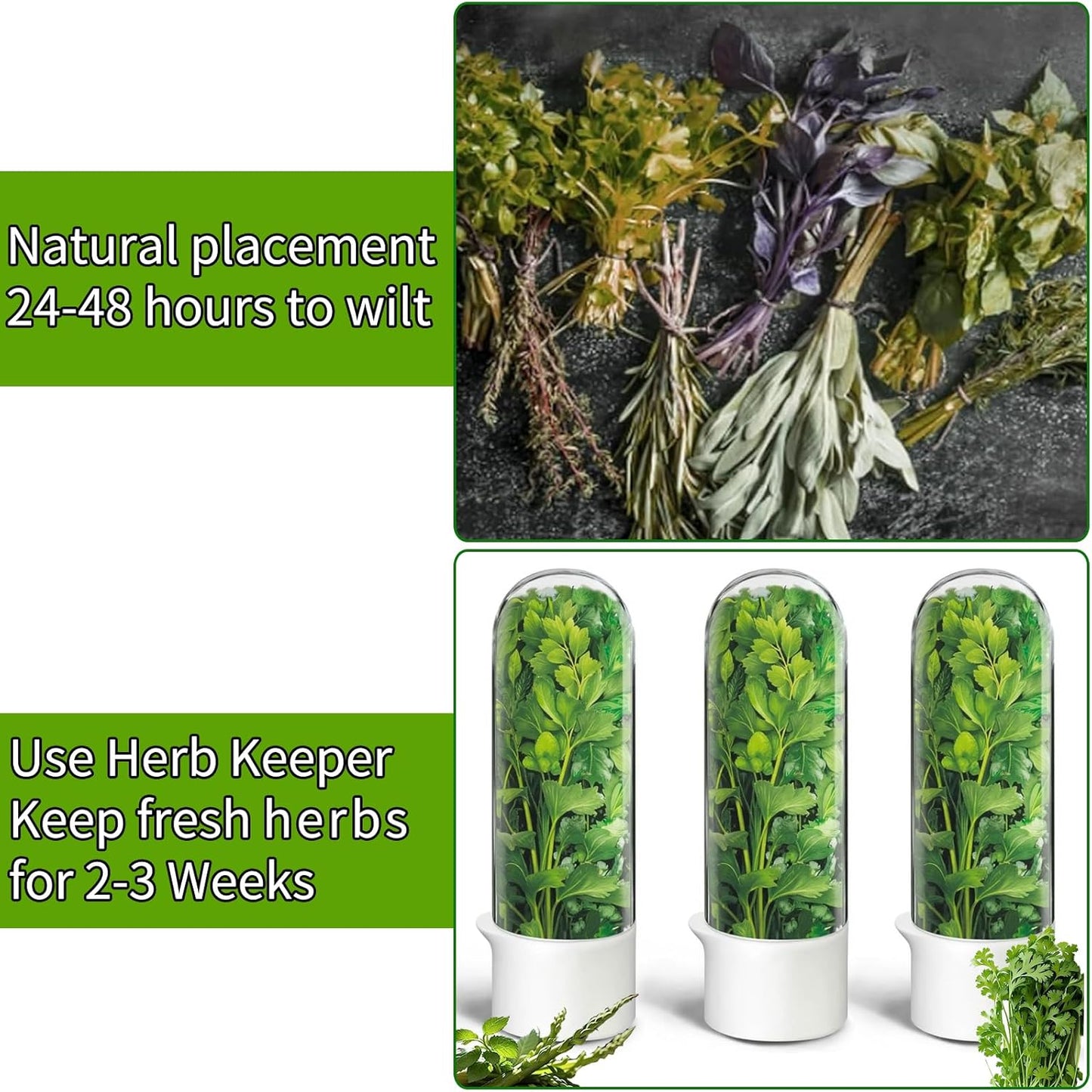 Herb Saver for Refrigerator, Herb Saver Pod Cilantro Containers for Refrigerator, Fresh Herb Keeper for Cilantro, Parsley, Asparagus, Mint, Keeps Greens Vegetables for 2-3 Weeks (Herb Keeper 1Pack)