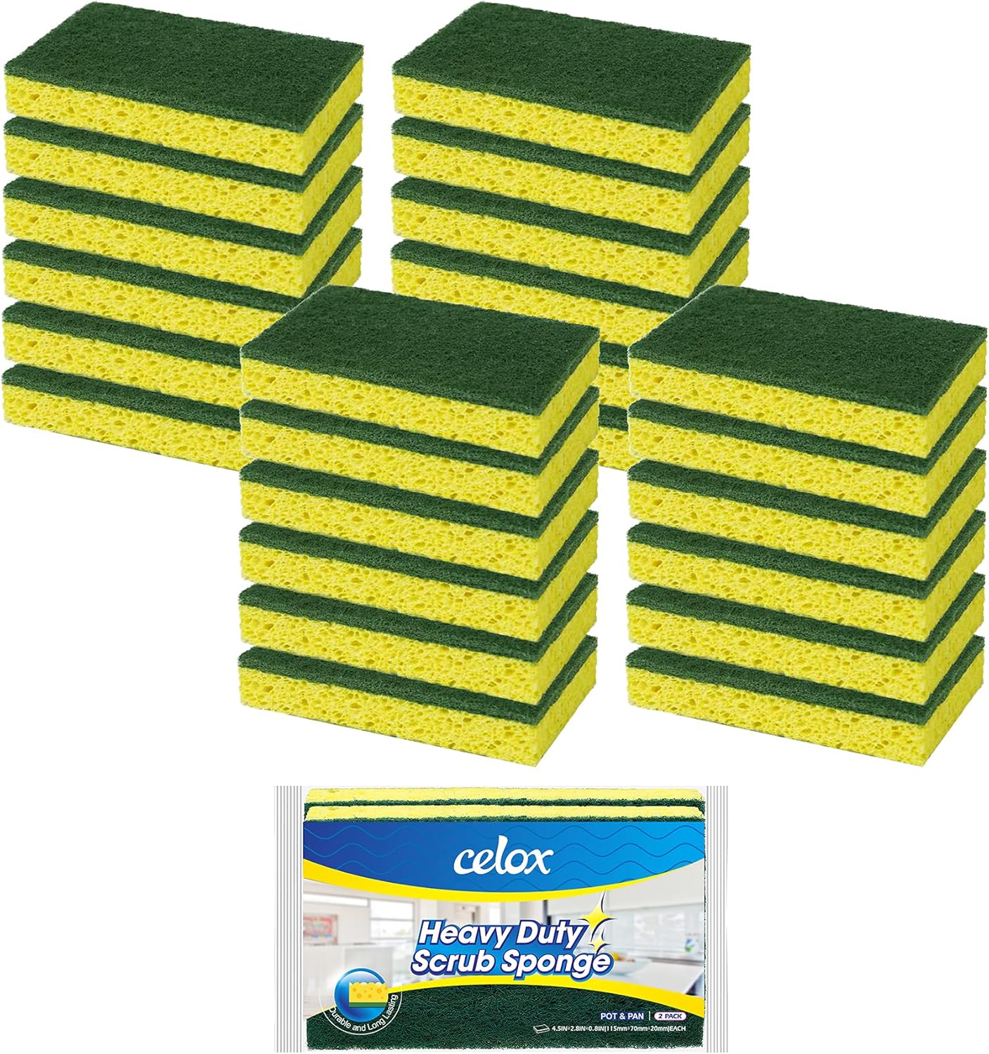 CELOX 24 Pack Dish Sponge for Kitchen, Dual Sided Scrub Sponge Heavy Duty, Non-Scratch Sponges Perfect for Kitchen Dishwashing and Household Cleaning, Highly Absorbent and Easy to Dry for Reuse