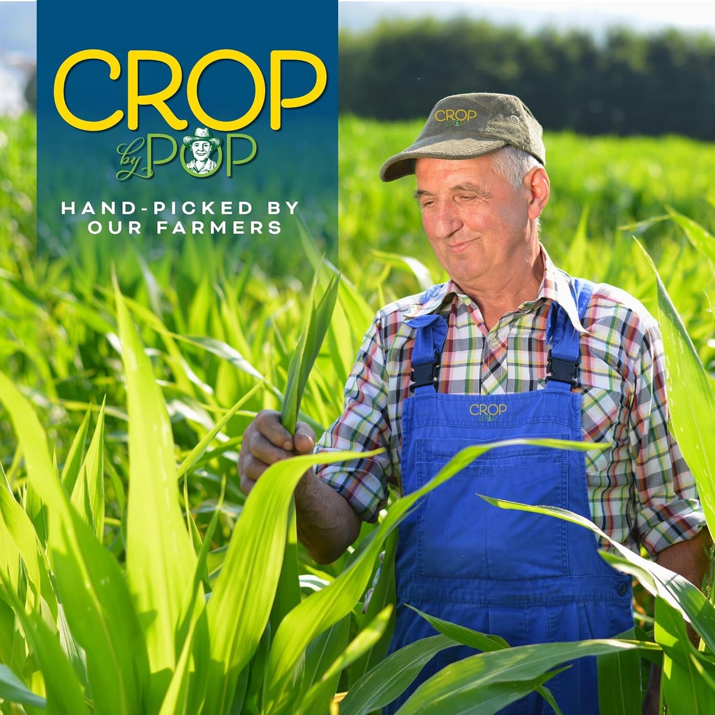 CROP BY POP - Organic Sun-Dried Turkish Smyrna White Figs (Higos, Anjeer) - No Sugar Added, Unsulphured (32oz, 2 LB) Bulk Dry Fruits Packed Fresh in Resealable Bag - USDA Organic, Non GMO, Kosher