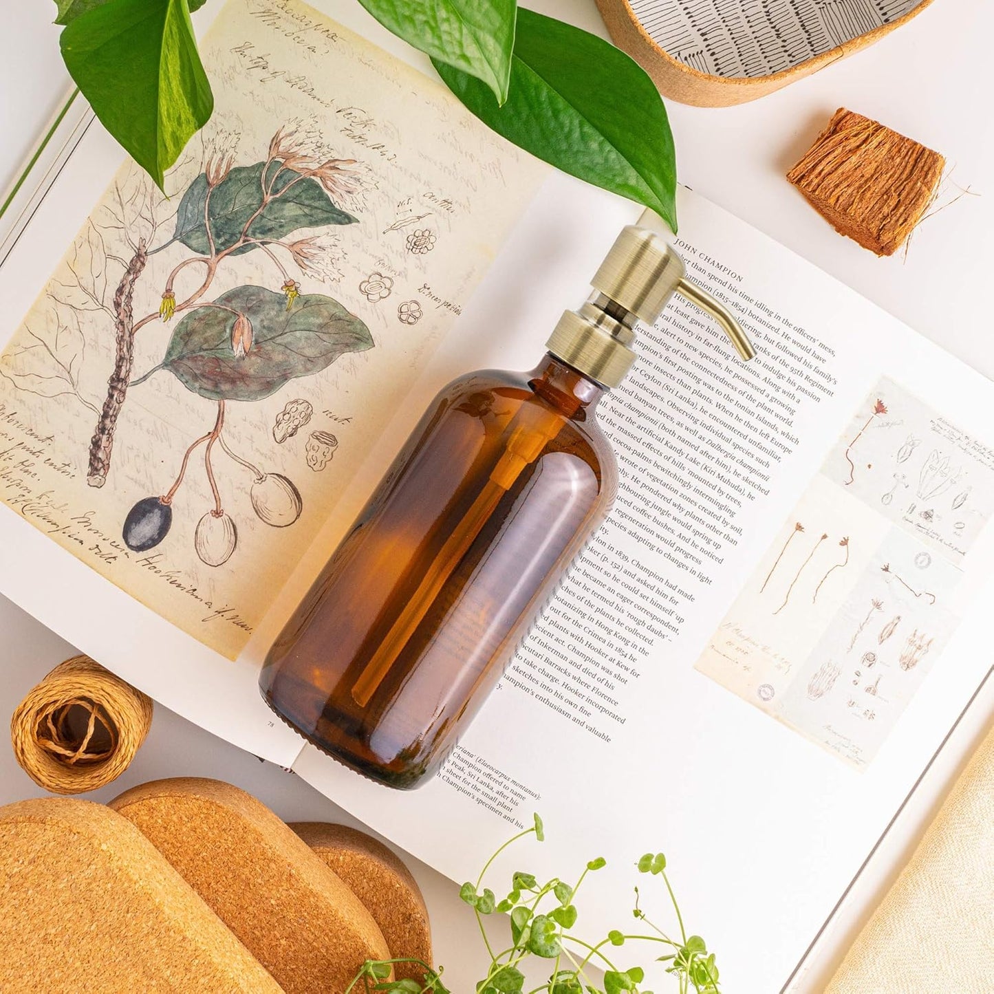 Vine Creations Amber Glass Soap Dispenser, 2 Pack Kitchen Soap Dispenser Set with Stainless Steel Pump, 16 oz Dish Soap and Hand Soap Dispensers for Bathroom with Waterproof Labels